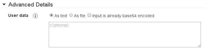 Advanced UserData at EC2